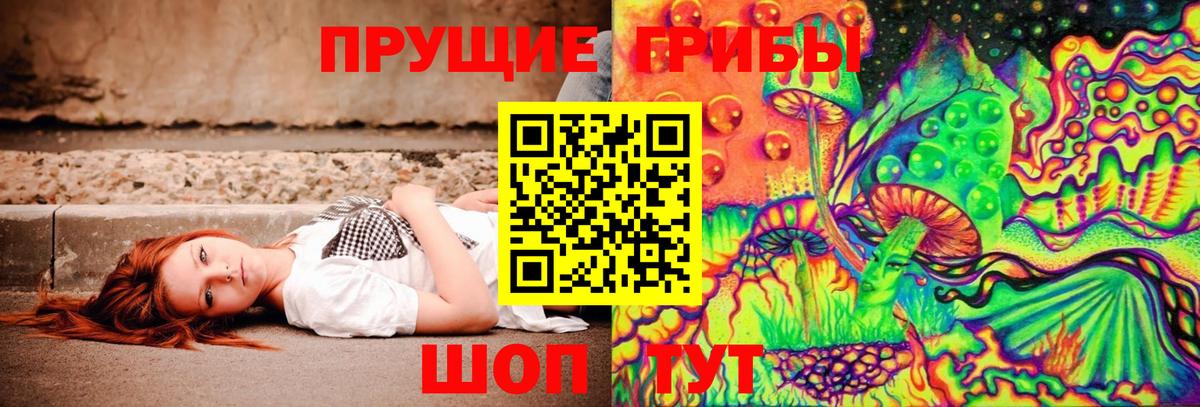 хочу наркоту  Псилоцибиновые грибы ЛСД  Дубна  Вход с VPN  Галлюциногенные грибы MAGIC MUSHROOMS 